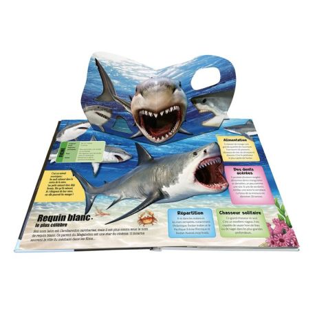 REQUINS 3D
