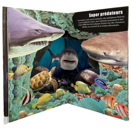 REQUINS 3D