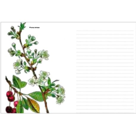 LOT DE 10 NOTES FLORALES PETIT CARNET DE NOTES