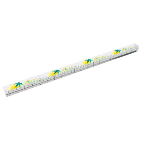 DISPLAY 32 EX REGLES FANTAISIE 20CM (4 MODELES / 8EX)