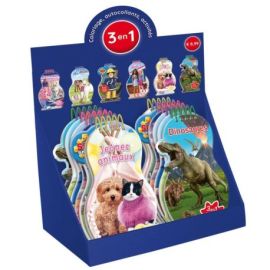 DISPLAY PLEIN ACTIVITY FUN 24EX (4EX/TITRE - 6 TITRES)