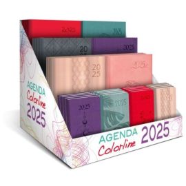 DISPLAY 44 AGENDAS 2025 COLORLINE