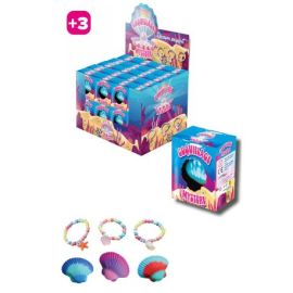 DISPLAY 24 COQUILLAGES MYSTERE