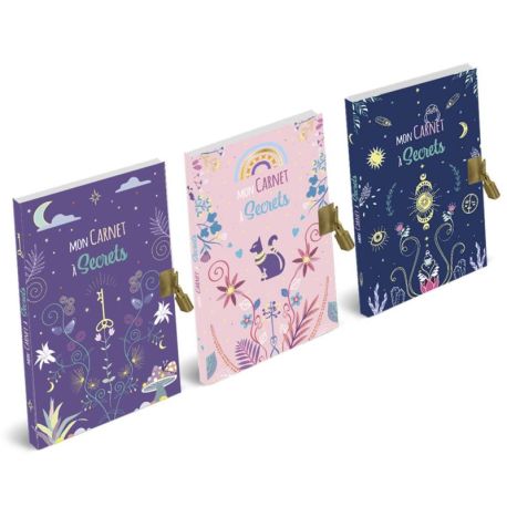 DISPLAY 24 CARNETS A SECRETS ET AGENDA SCOLAIRE 2025-2026