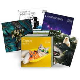 PACK 126 EX GSA CALENDRIERS 2026