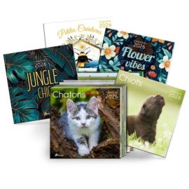 PACK 60 CALENDRIERS 2026