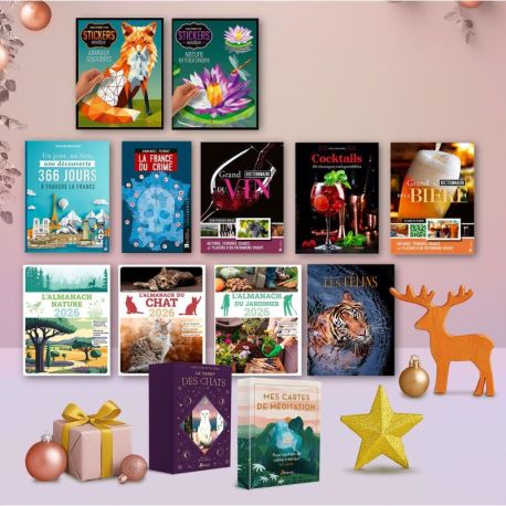 PACK BEAUX LIVRES FIN D'ANNÉE 2025