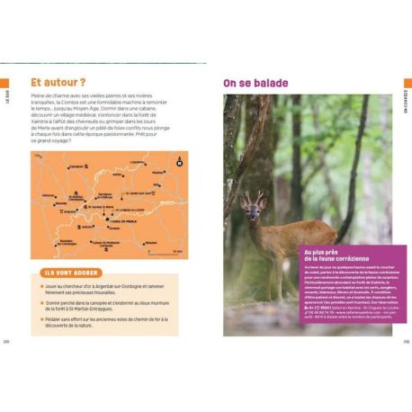 PETITS & GRANDS VOYAGEURS - 800 IDEES ORIGINALES POUR EXPLORER LA FRANCE EN FAMILLE