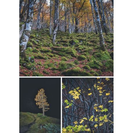 PYRENEES ARIEGEOISES - AU COEUR DE MONTAGNES AUTHENTIQUES ET DE CARACTERE