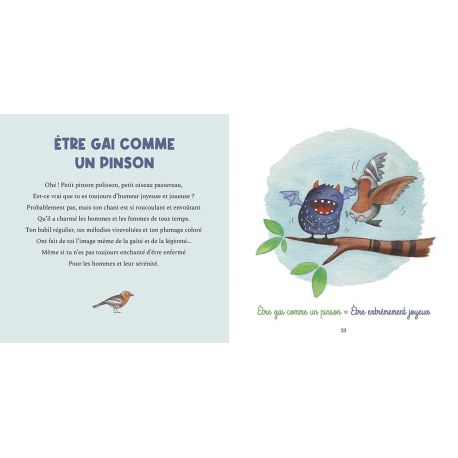 DROLES D'EXPRESSIONS SUR LES EMOTIONS