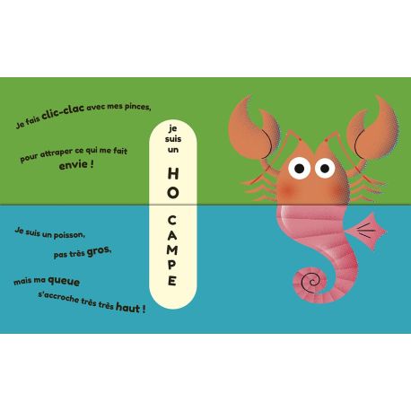 MON PREMIER FLIP-FLAP - DANS LA MER