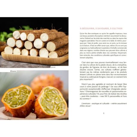 CULTURE DE FRUITS ET LEGUMES EXOTIQUES
