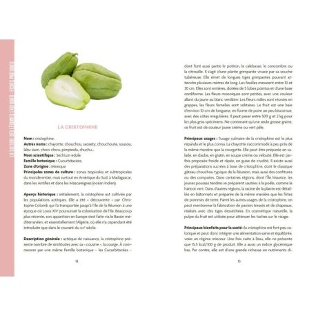 CULTURE DE FRUITS ET LEGUMES EXOTIQUES