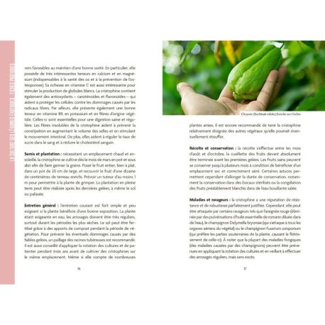 CULTURE DE FRUITS ET LEGUMES EXOTIQUES