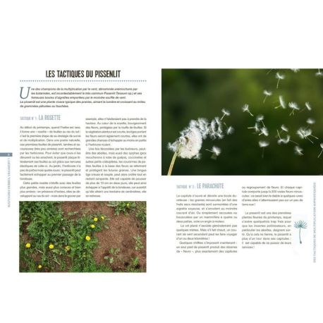 MAUVAISES HERBES, VRAIMENT?
