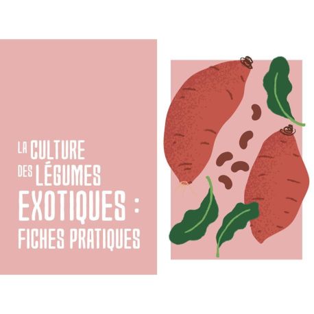 CULTURE DE FRUITS ET LEGUMES EXOTIQUES