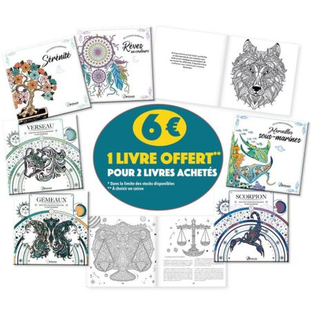 PACK 36 EX COLORADDICT AVEC PRIME 2 POUR 1