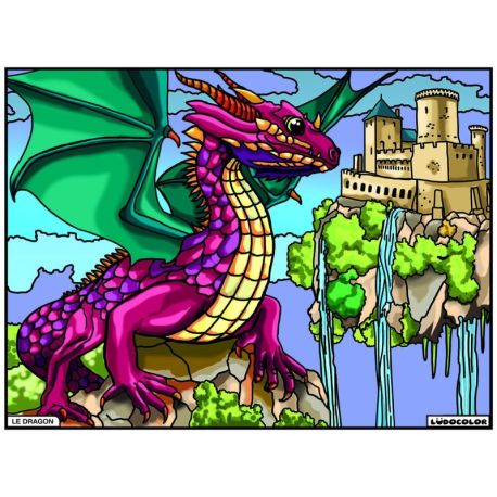 PACK 25 EX LUDOCOLOR SANS PLV