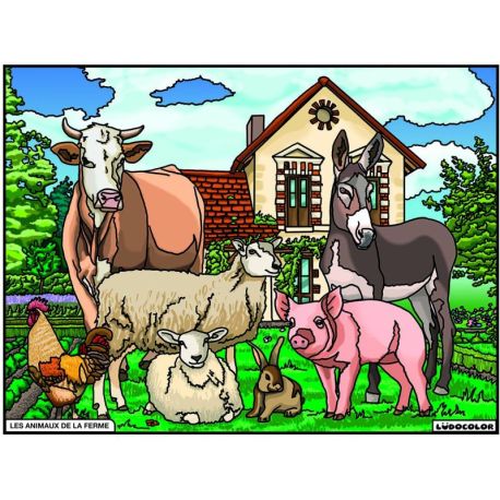 PACK 25 EX LUDOCOLOR SANS PLV