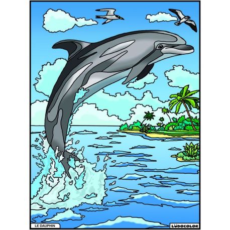 PACK 25 EX LUDOCOLOR SANS PLV