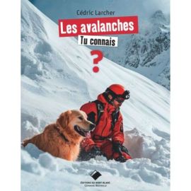 LES AVALANCHES, TU CONNAIS ?