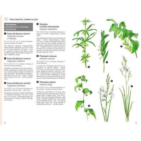 LES PLANTES PAR LA COULEUR. FLEURS, GRAMINEES, ARBRES ET ARBUSTES