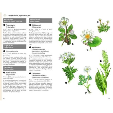 LES PLANTES PAR LA COULEUR. FLEURS, GRAMINEES, ARBRES ET ARBUSTES