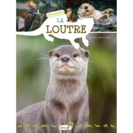 LA LOUTRE P'TIT CURIEUX