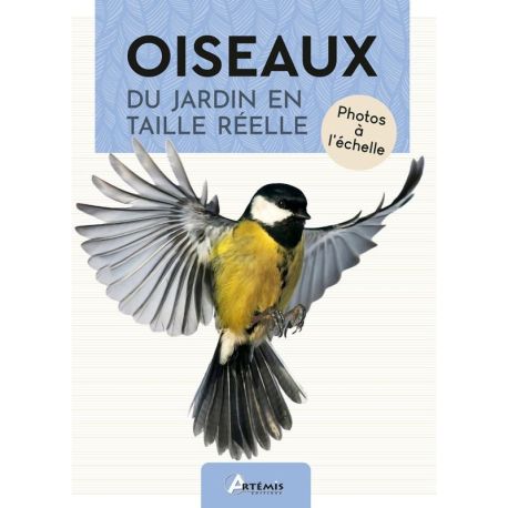 OISEAUX DU JARDIN EN TAILLE REELLE