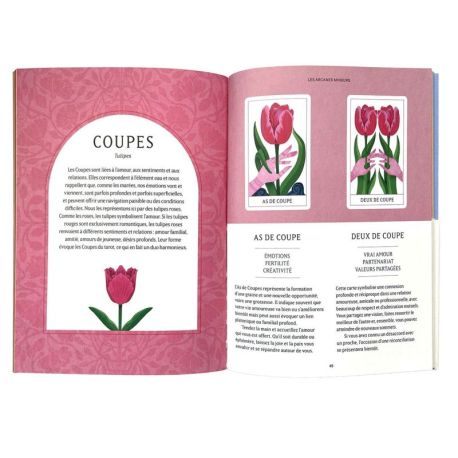 COFFRET TAROT DES FLEURS - 78 CARTES + 1 LIVRET DE 80 PAGES