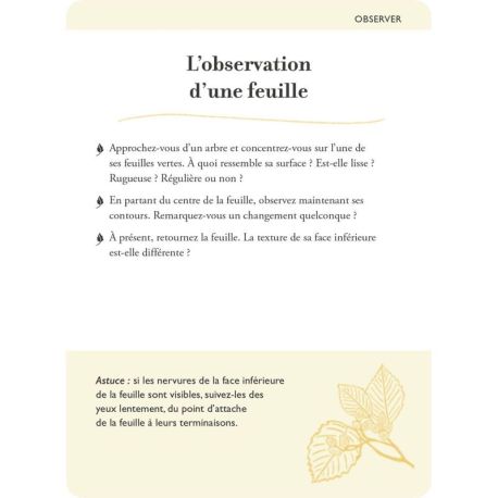 COFFRET BAINS DE FORET - 50 CARTES + 1 LIVRET DE 64 PAGES