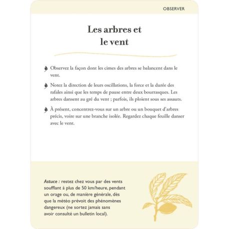 COFFRET BAINS DE FORET - 50 CARTES + 1 LIVRET DE 64 PAGES