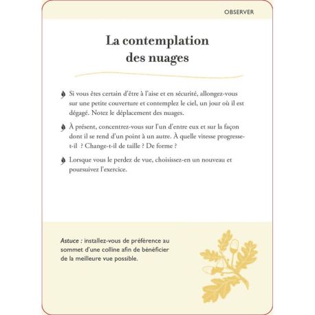 COFFRET BAINS DE FORET - 50 CARTES + 1 LIVRET DE 64 PAGES