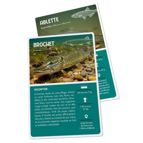 COFFRET PÊCHE EN EAU DOUCE - 36 CARTES + 1 POSTER