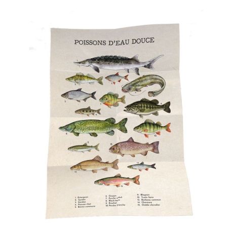 COFFRET PÊCHE EN EAU DOUCE - 36 CARTES + 1 POSTER