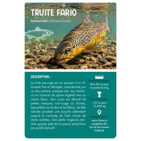 COFFRET PÊCHE EN EAU DOUCE - 36 CARTES + 1 POSTER