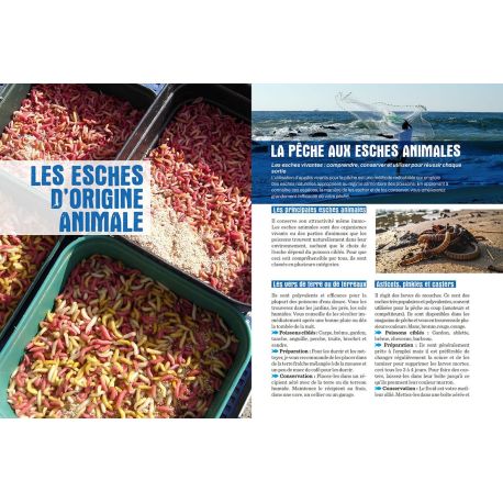 GUIDE DES APPÂTS ET LEURRES DE PÊCHE