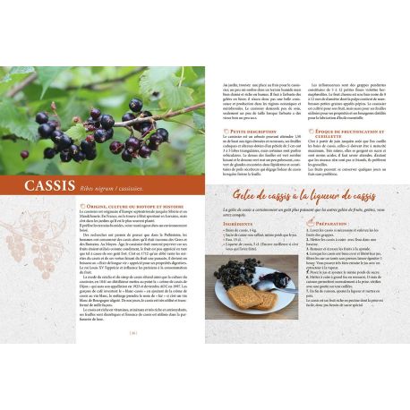 CONFITURES ET GELEES MAISON - A BASE DE FRUITS, PLANTES ET FLEURS SAUVAGES OU CULTIVES