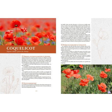 CONFITURES ET GELEES MAISON - A BASE DE FRUITS, PLANTES ET FLEURS SAUVAGES OU CULTIVES