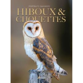 HIBOUX & CHOUETTES