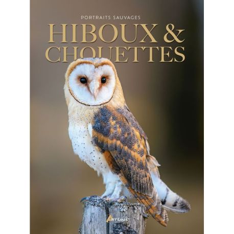 HIBOUX & CHOUETTES