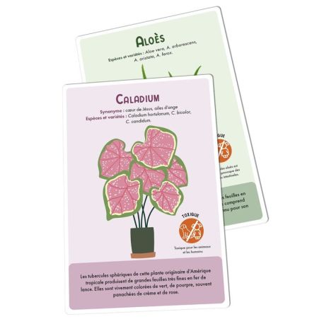 COFFRET CARTES PLANTES D'INTERIEUR - 36 CARTES + 1 POSTER