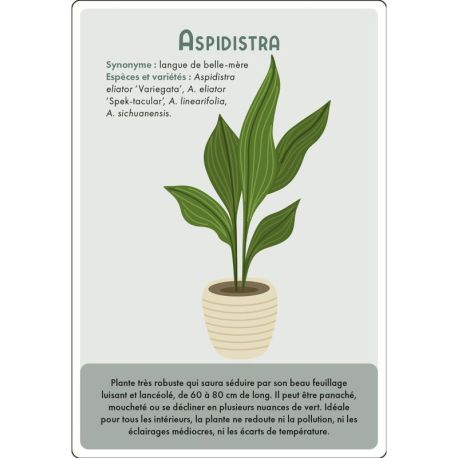 COFFRET CARTES PLANTES D'INTERIEUR - 36 CARTES + 1 POSTER