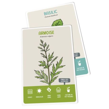 COFFRET CARTES PLANTES AROMATIQUES - 36 CARTES + 8 ETIQUETTES A PLANTER