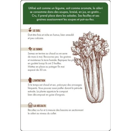 COFFRET CARTES PLANTES AROMATIQUES - 36 CARTES + 8 ETIQUETTES A PLANTER