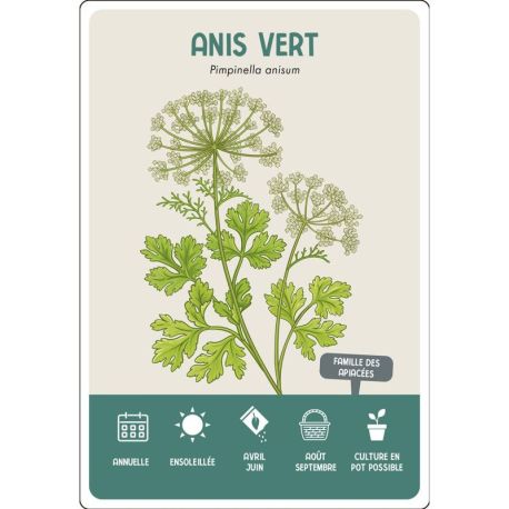 COFFRET CARTES PLANTES AROMATIQUES - 36 CARTES + 8 ETIQUETTES A PLANTER
