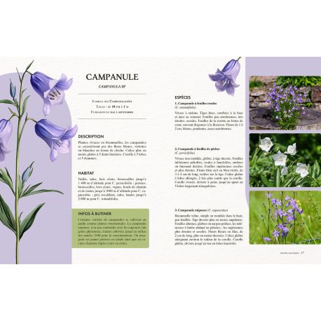 FLEURS : SAUVAGES, DU JARDIN, D'INTERIEUR