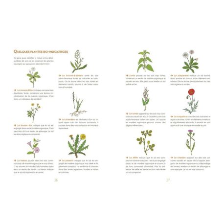 JOURNAL DE MON JARDIN