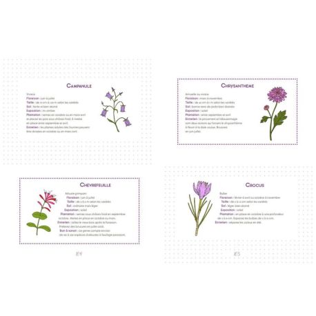 JOURNAL DE MON JARDIN