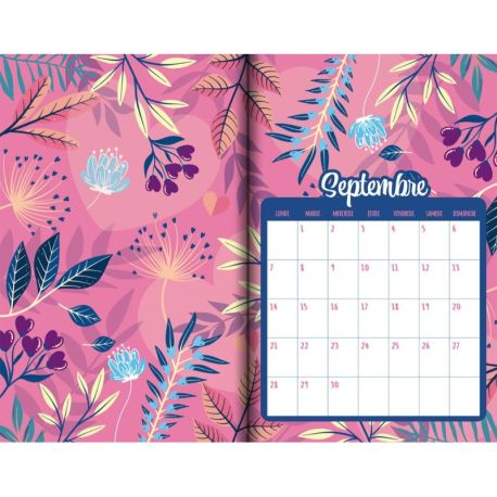 DISPLAY 20 AGENDAS SCOLAIRES 2026-2027 (4 MODELES / 5 EX)